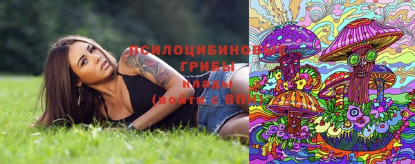 apvp Алзамай