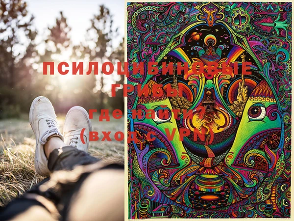 крисы Алексин