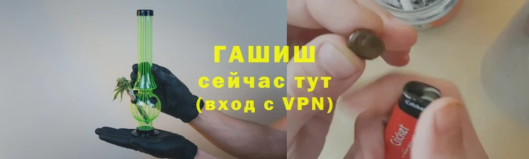 apvp Алзамай