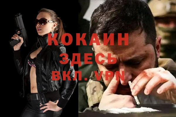 apvp Алзамай