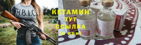 крисы Алексин