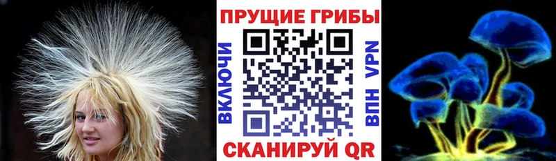 Псилоцибиновые грибы мухоморы продажа наркотиков мориарти официальный сайт Салават